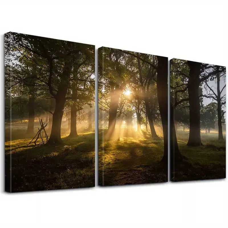 3pcs Forest Sunbeam Woods Sun Light Trees Modern Wall Art Set Canvas Framed 50x70cm -  High Quality Print 100% Australian Made Wall Canvas Ready to Hang
