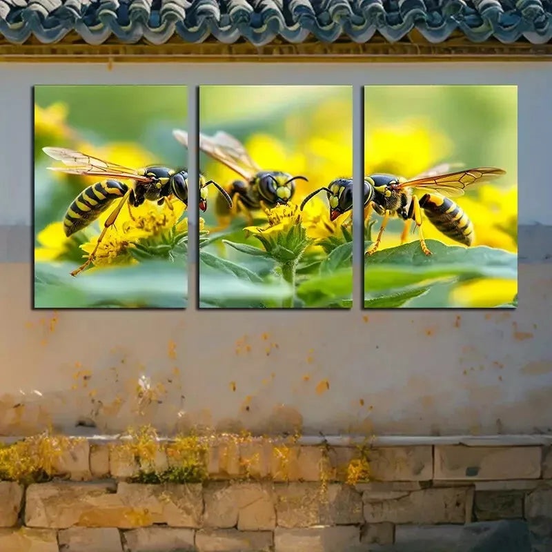 3pcs Insects Collecting Pollen Wall Art Set Canvas Framed 50x70cm -  High Quality Print 100% Australian Made Wall Canvas Ready to Hang