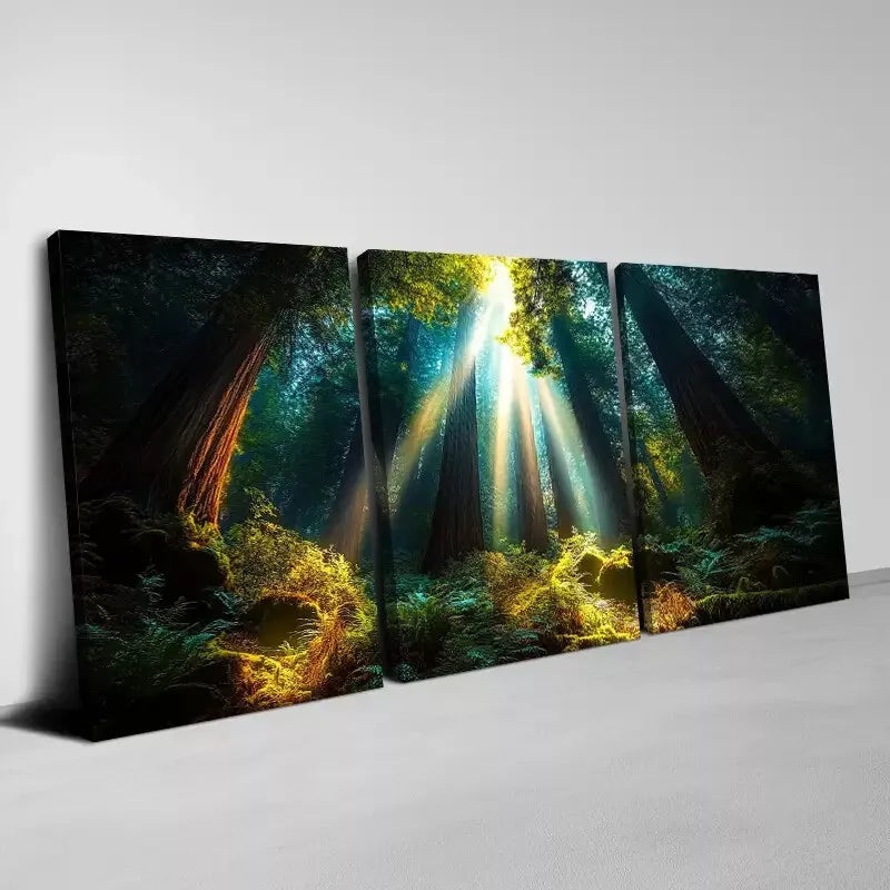 3pcs Enchanting Forest Sunlight & Serene Nature Art Set Canvas Framed 50x70cm -  High Quality Print 100% Australian Made Wall Canvas Ready to Hang
