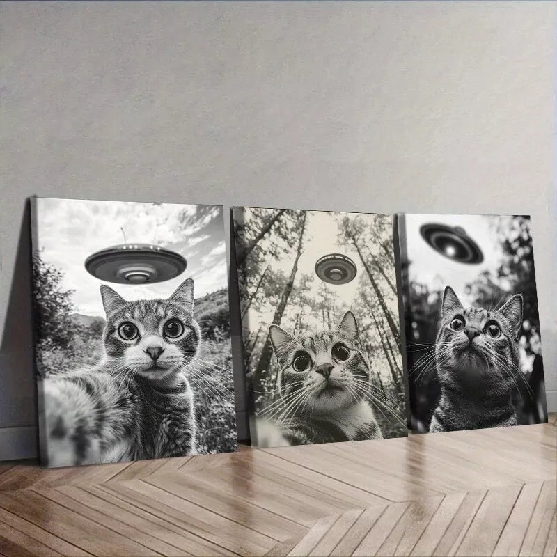 3pcs  Cat Capturing A Selfie With A UFO Wall Art Set Canvas Framed 50x70cm -  High Quality Print 100% Australian Made Wall Canvas Ready to Hang