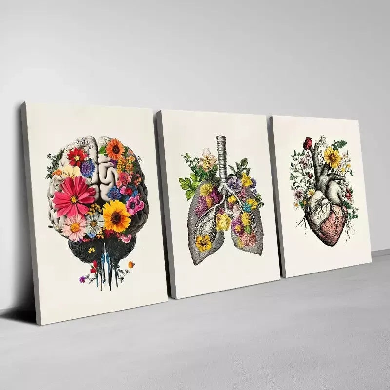 3pcs Creative Heart, Lungs, Brain with Florals Wall Art Set Canvas Framed 50x70cm -  High Quality Print 100% Australian Made Wall Canvas Ready to Hang