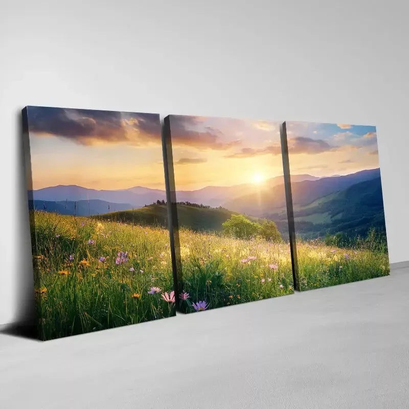 3pcs  Sunset Sky View and Wildflowers Landscape  Art Set Canvas Framed 50x70cm -  High Quality Print 100% Australian Made Wall Canvas Ready to Hang
