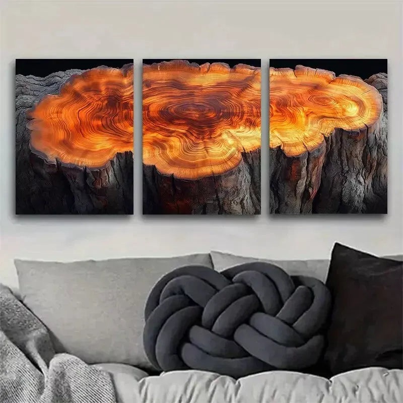 3pcs Colorful Tree Stump Texture  Wall Art Set Canvas Framed 50x70cm -  High Quality Print 100% Australian Made Wall Canvas Ready to Hang