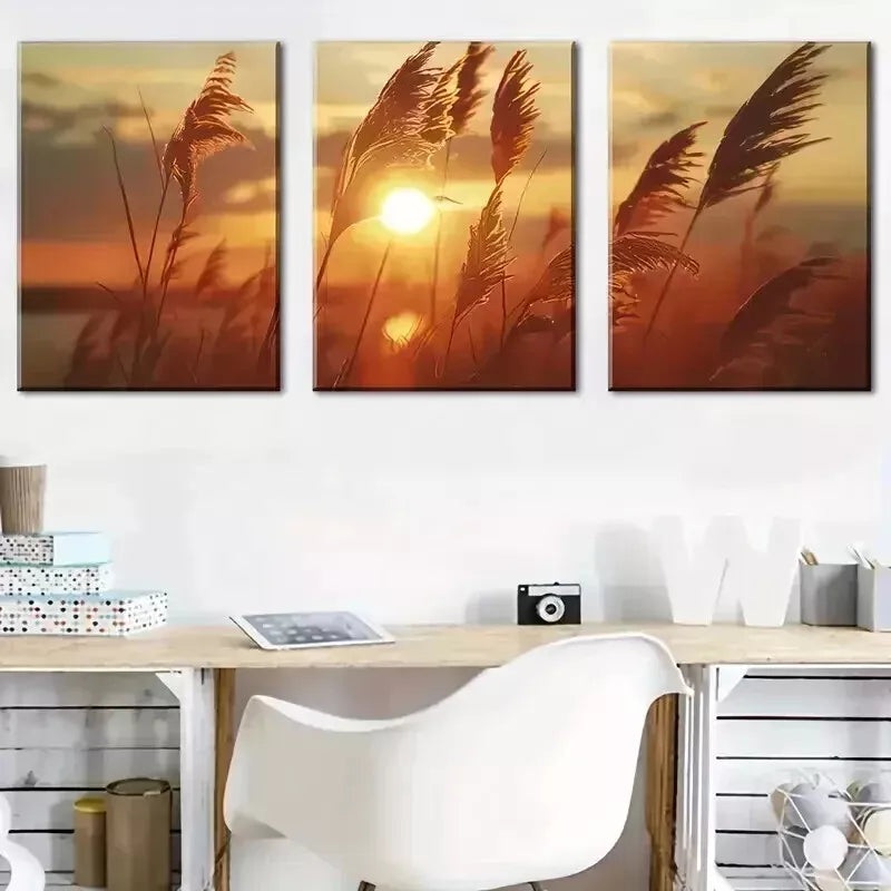 3pcs  Nature Grasses & Sunset View Wall Art Set Canvas Framed 50x70cm - High Quality Print 100% Australian Made Wall Canvas Ready to Hang