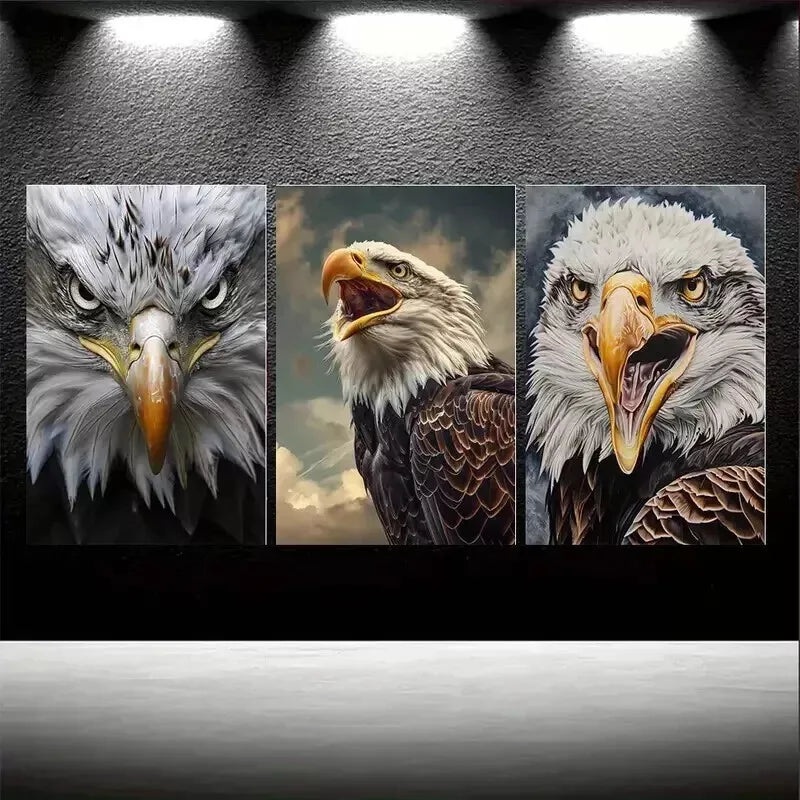3pcs  Realistic Bald Eagle Portraits  Wall Art Set Canvas Framed 50x70cm - High Quality Print 100% Australian Made Wall Canvas Ready to Hang