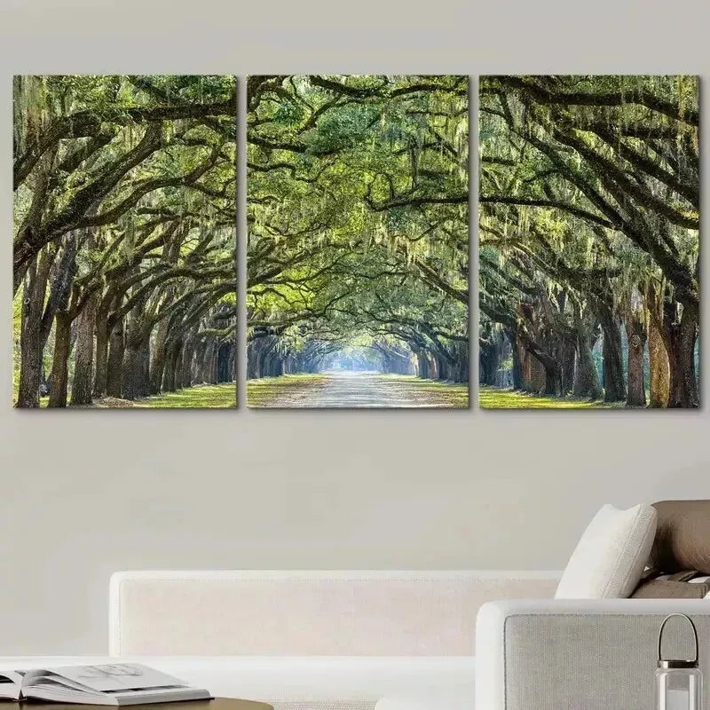 3pcs  Tree Arches Natural Wilderness Wall Art Set Canvas Framed 50x70cm - High Quality Print 100% Australian Made Wall Canvas Ready to Hang