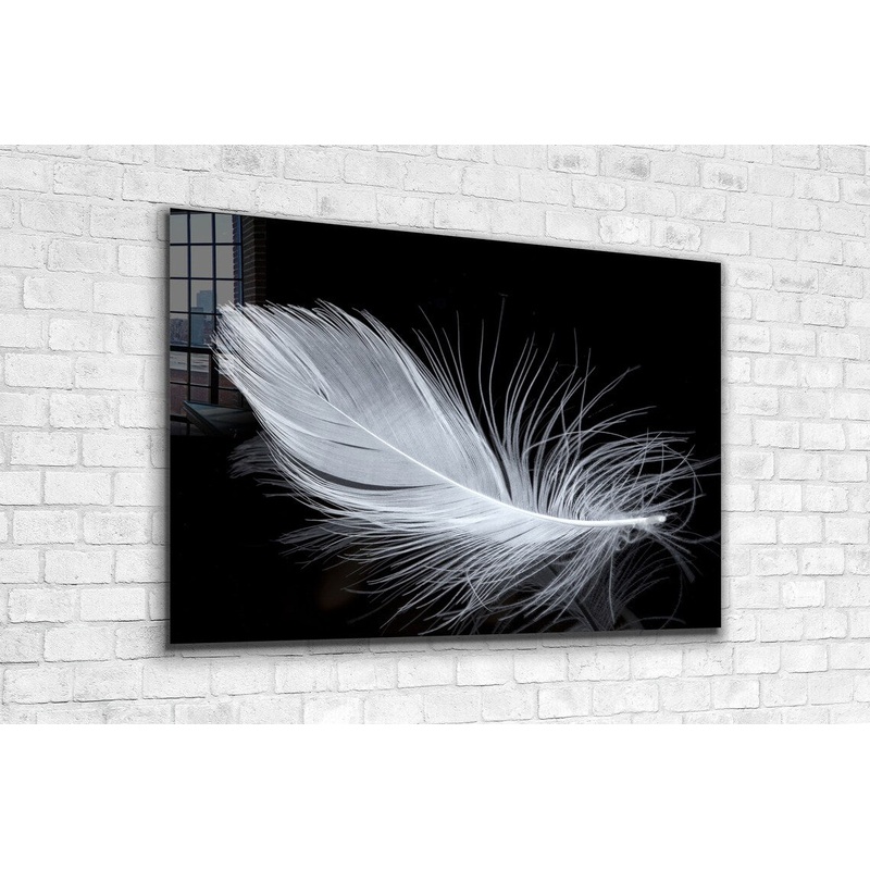 White Feather View Print Tempered Glass Wall Art 100% Made in Australia Ready to Hang