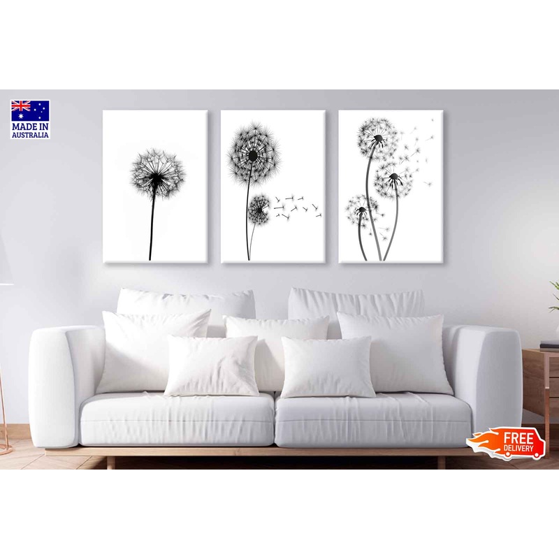 3 Set of Black Dandelion Flowers High Quality Print 100% Australian Made Wall Canvas Ready to Hang