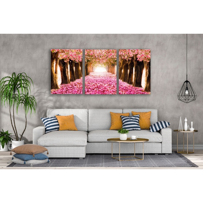 3 Set of Blossom Tree Park Photograph High Quality Print 100% Australian Made Wall Canvas Ready to Hang