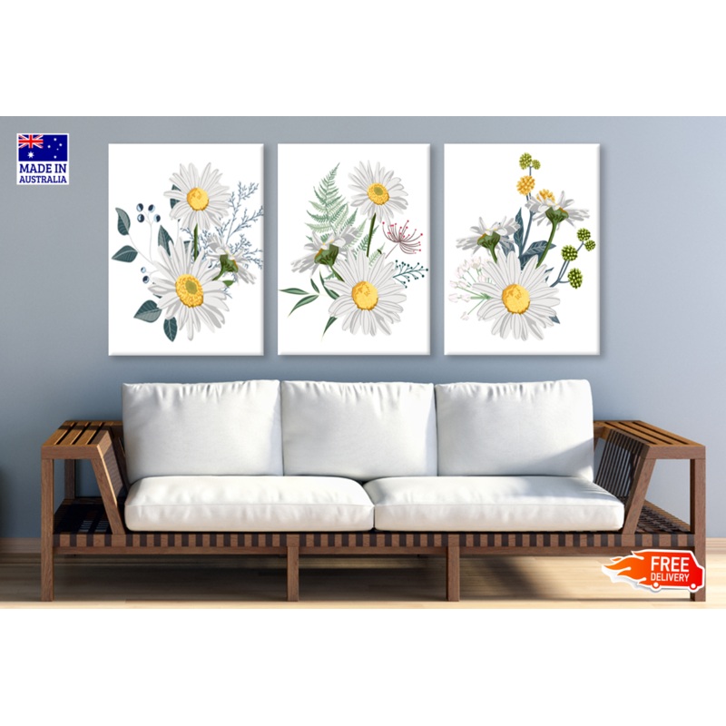 3 Set of Daisy Flower Plant Art High Quality print 100% Australian made wall Canvas ready to hang