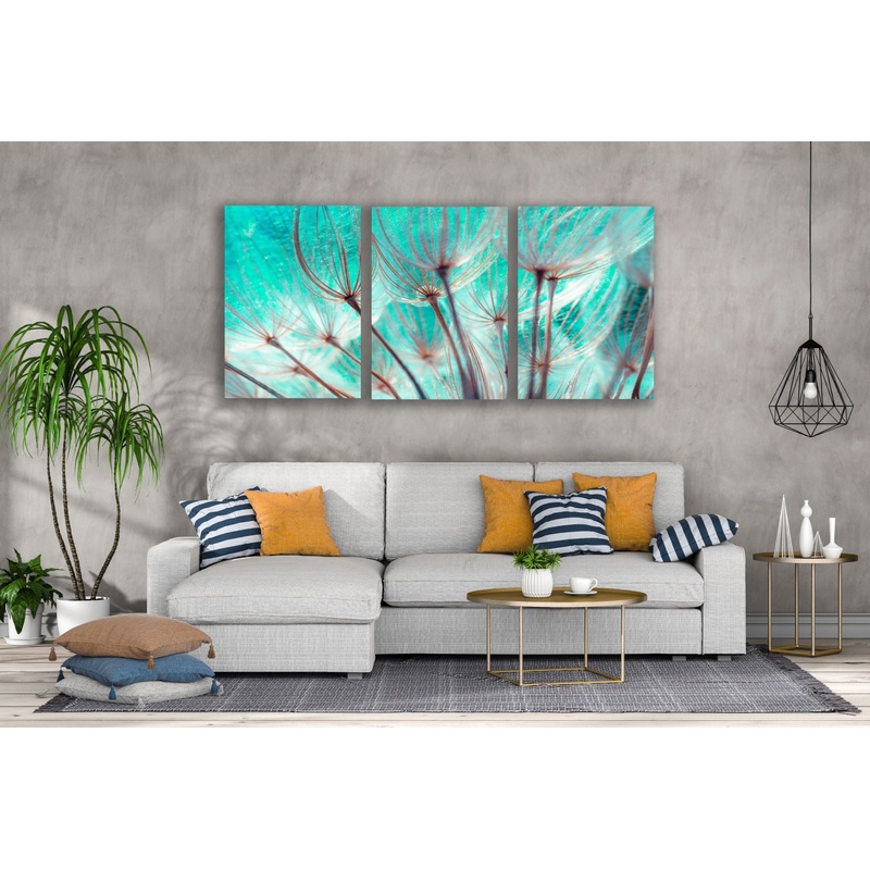 3 Set of Dandelion Flowers Closeup Photograph High Quality Print 100% Australian Made Wall Canvas Ready to Hang