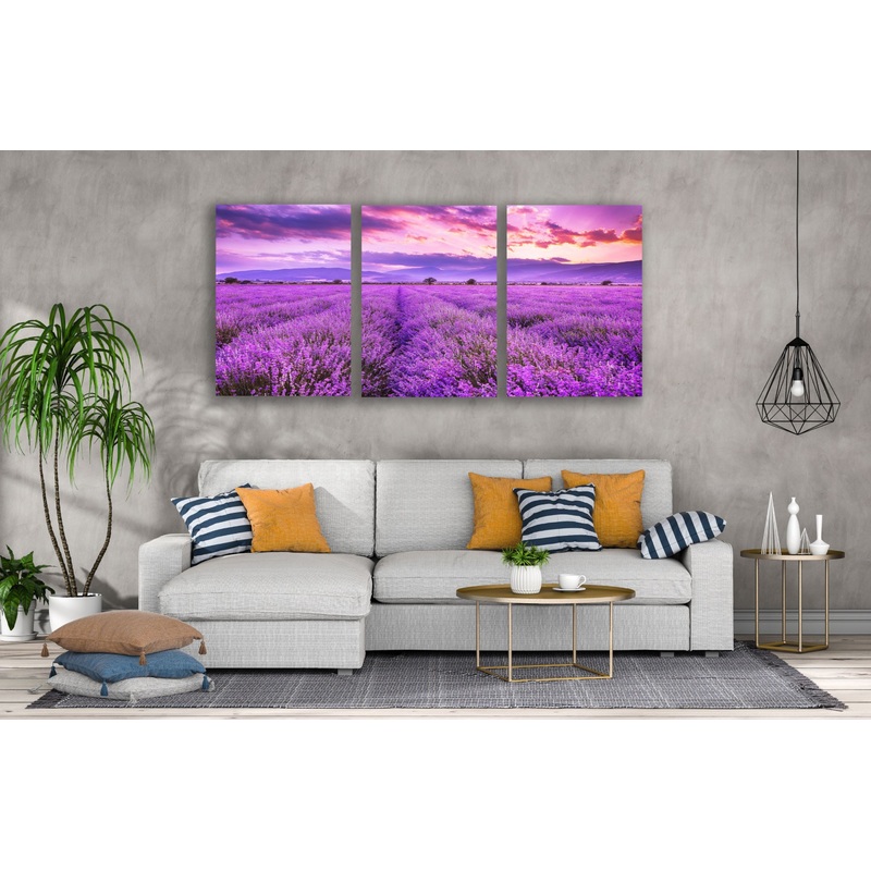 3 Set of Lavender Field at Sunset Photograph High Quality Print 100% Australian Made Wall Canvas Ready to Hang