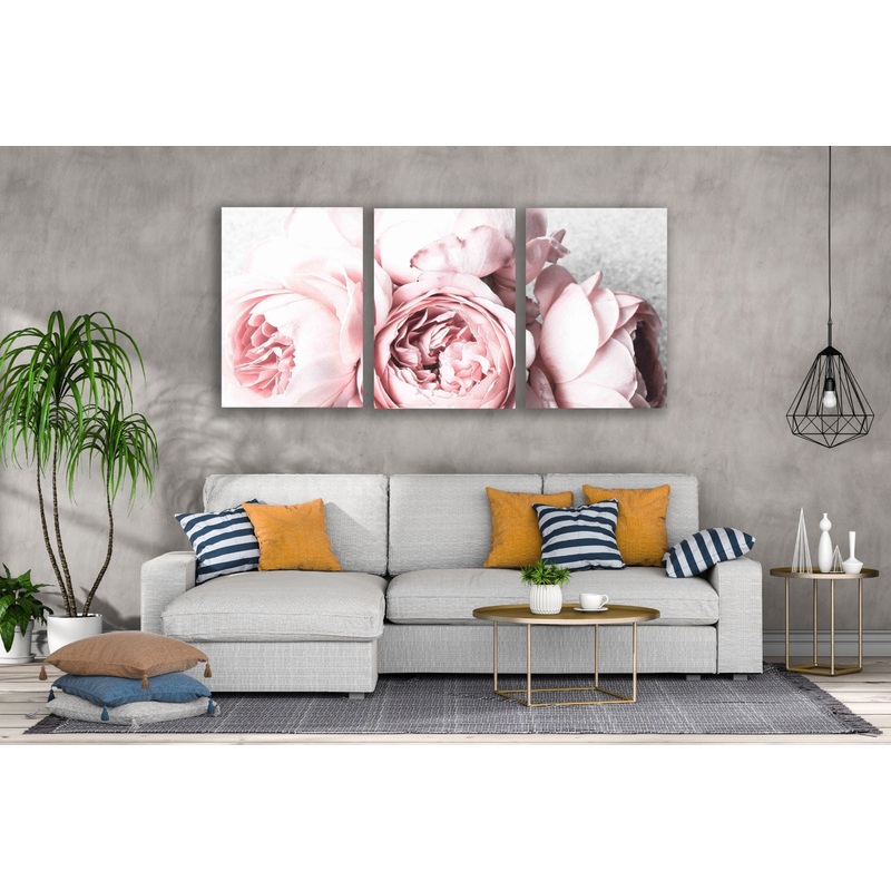 3 Set of Peony Flowers Closeup Photograph High Quality Print 100% Australian Made Wall Canvas Ready to Hang