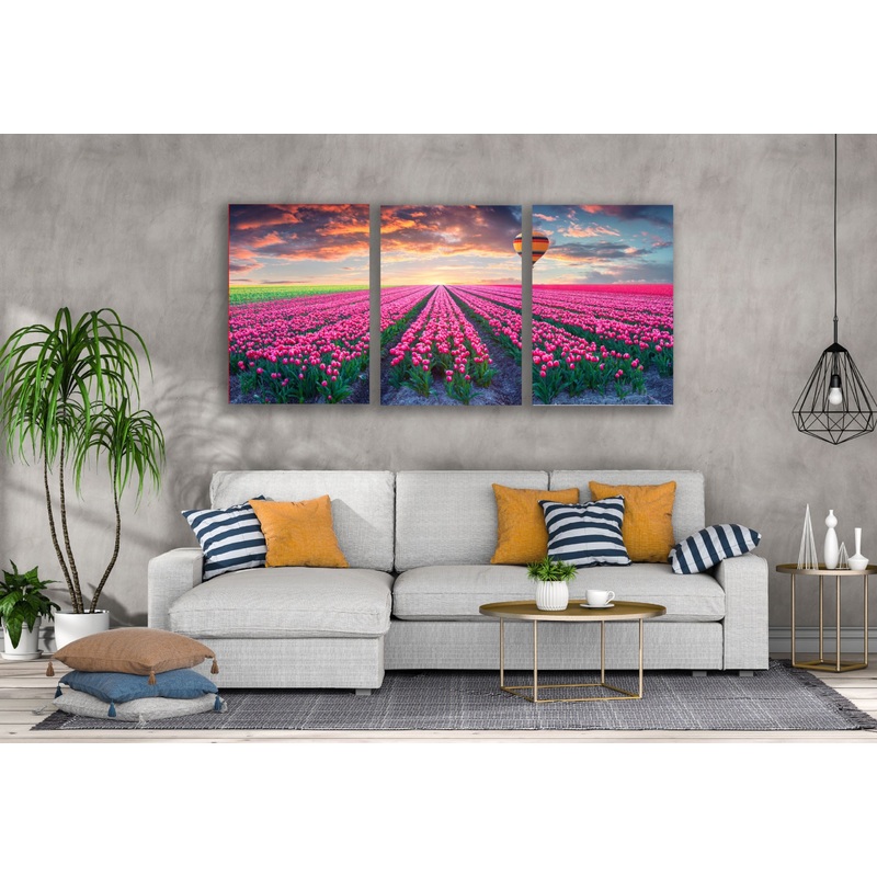 3 Set of Pink Tulip Flowers Field & Hot Air Balloon Photograph High Quality Print 100% Australian Made Wall Canvas Ready to Hang